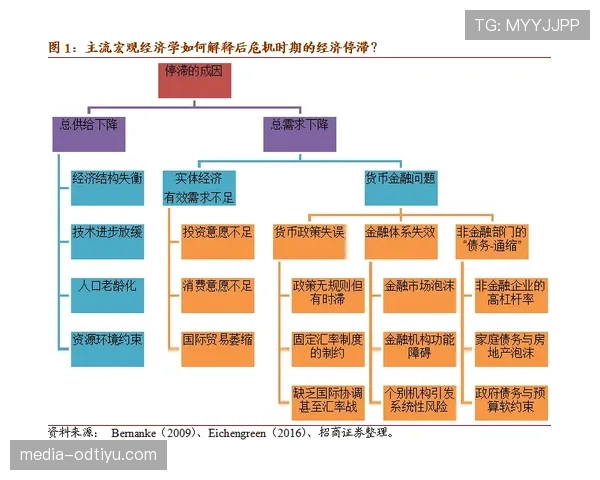 帕尔默带队能力的核心体现与作用机制解析