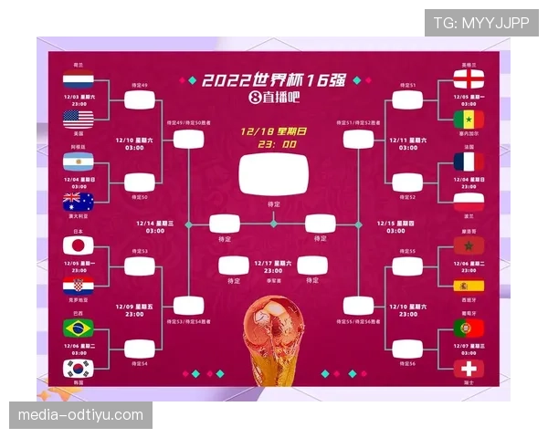 埃及队世界杯小组赛总结：与比利时同分排名解析